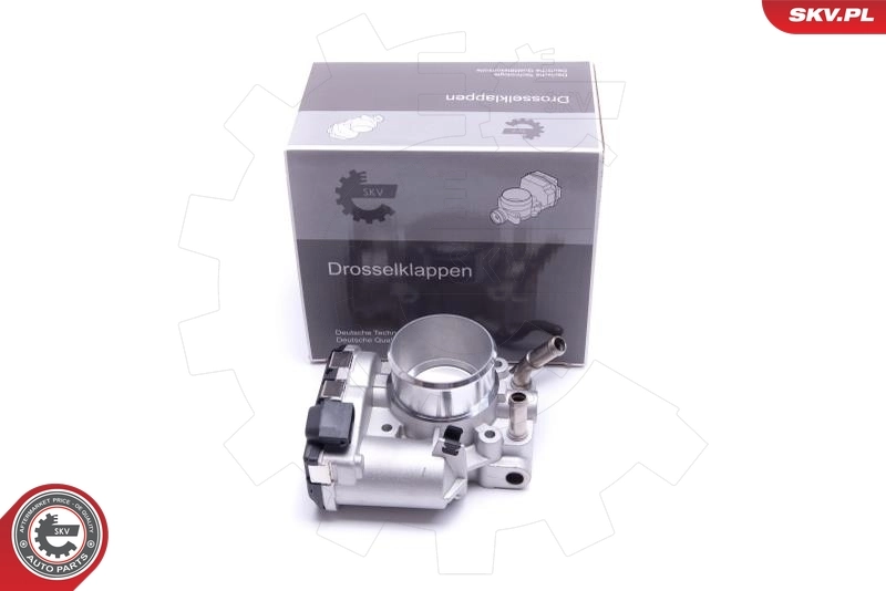 Throttle Body